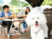STRBBQの写真3