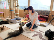 アロマ&ねこカフェ CORONの写真4