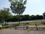 柏乗馬クラブの写真2