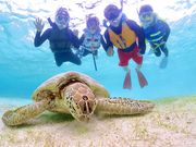 宮古島マリン GB QUESTの写真3