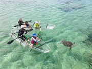 THE BEACH CLUBの写真3