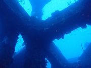 東海岸Diveきよらの写真3