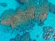 海乃商店 ゆうげつの写真2
