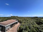 道の駅 やんばるパイナップルの丘 安波の写真2