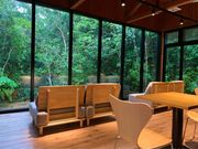 道の駅 やんばるパイナップルの丘 安波の写真4