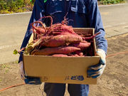 GOOD TIME FARMの写真4