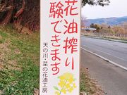 天の川・菜の花油工房の写真4