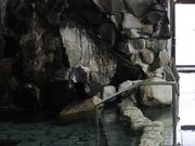 和風旅館 扇松園の写真2