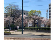 Lien de aromaの写真3