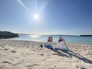 Yoga with Sophiaの写真2