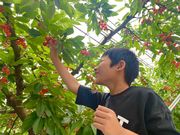 信州たかもり町北村農園の写真3