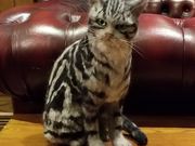 乃澤叶子羊毛教室の写真2