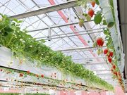 ITADAKI FARM OGORIの写真4