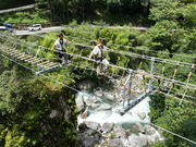 NIYO FLY(ニヨフラ)の写真3