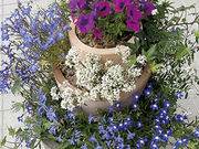 豊頃町ココロコテラスの写真4