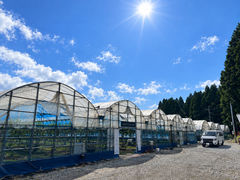 UnderVillageFarm|下村ぶどう園の写真1