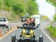 RENTAL TRIKE DAZZLINGの写真2