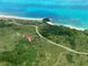 Windy Ishigaki Paraglidingの写真3