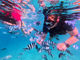 エメラルドリーフ沖縄の写真2