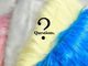 Questionsの写真3