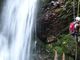 BERGTOAD_outdoorの写真2