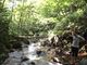 BERGTOAD_outdoorの写真3