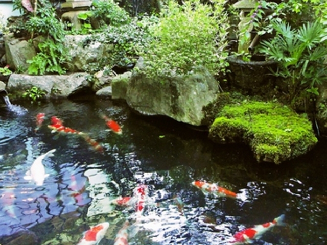 満留賀 町田市忠生の写真1