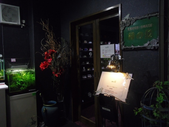 cafe緑の星の写真1