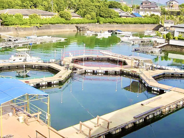 賢島フィッシングパーク 海遊苑の写真1
