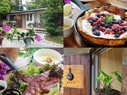 MOTHER COFFEE マザーコーヒーの写真1