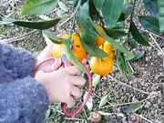 もんがわアグリパークの写真2