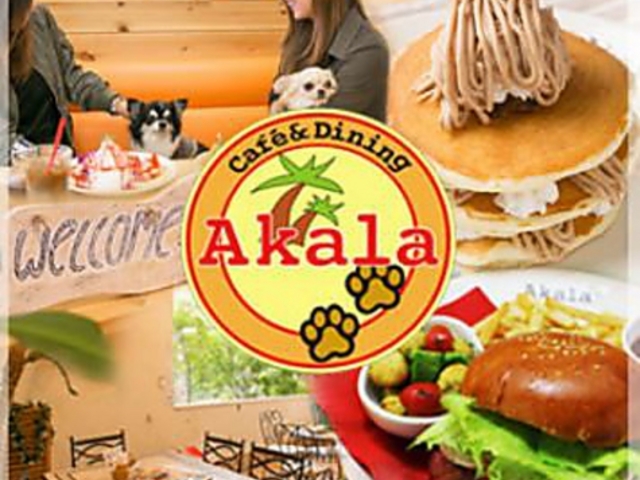 Cafe&Dining Akalaの写真1