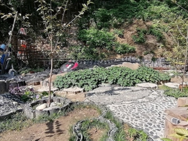 猫の楽園の写真1