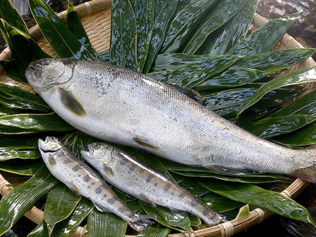 あまご茶屋 修善寺温泉店の写真1