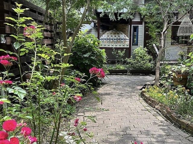 642 Pizza ロッシーニピザの写真1