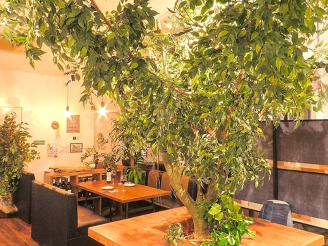 隠れ家カフェ エバーグリーン パスタ&スイーツの写真1