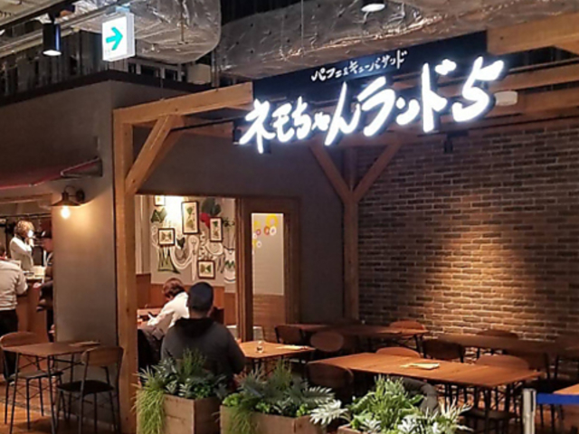 ネモちゃんランド5の写真1