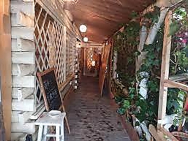 いちりんざしの写真1