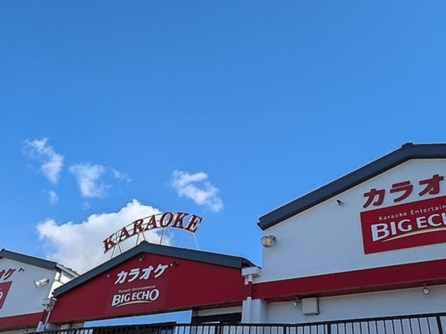 カラオケビッグエコー東浦駅前店の写真1