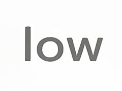 lowの写真1