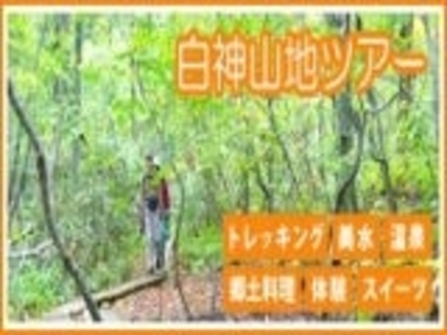 第一観光バスの写真1