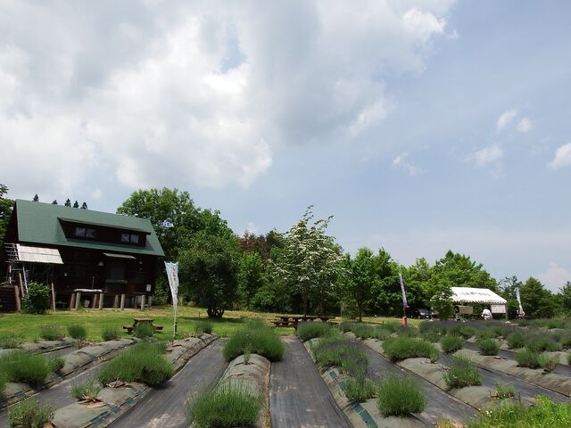 山辺町玉虫沼農村公園の写真1