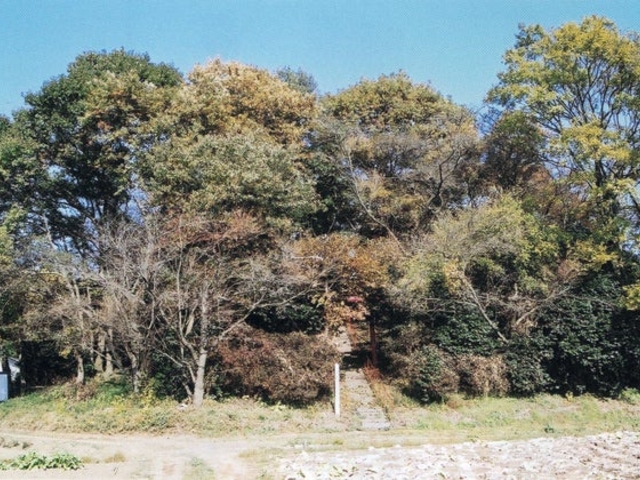 柴崎古墳1号・2号の写真1