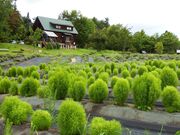 山辺町玉虫沼農村公園の写真3