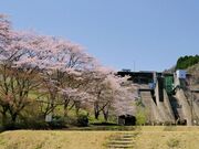 花貫さくら公園の写真1