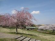 宮山ふるさとふれあい公園の写真1