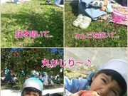 堤果樹園の写真4