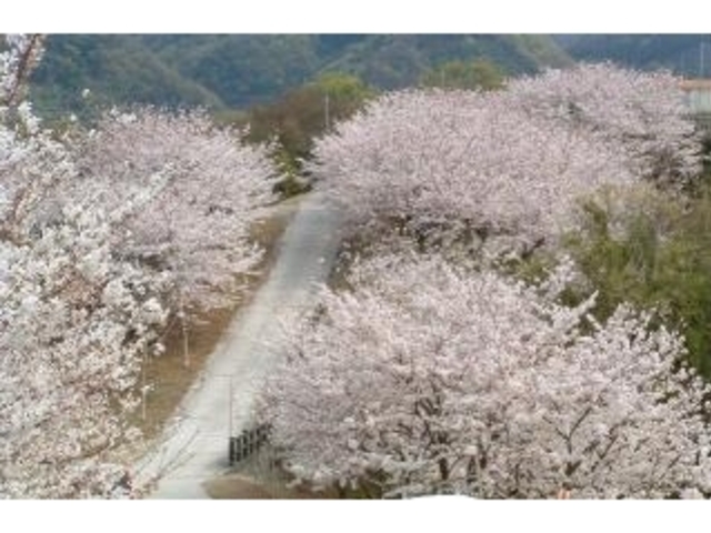 宮山中公園の写真1