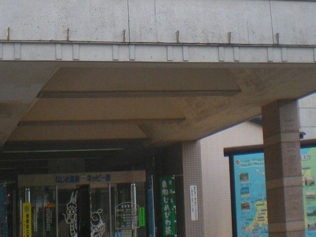 ねじめ温泉・ネッピー館
