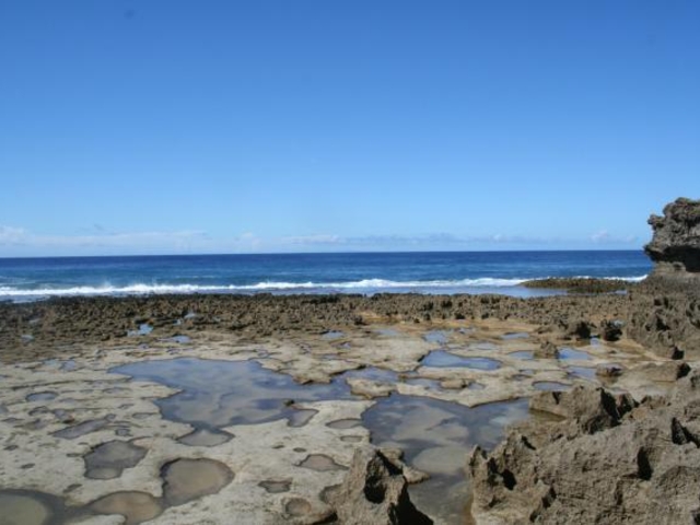 ミヤトバルの写真1